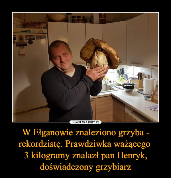 W Ełganowie znaleziono grzyba - rekordzistę. Prawdziwka ważącego 3 kilogramy znalazł pan Henryk, doświadczony grzybiarz –  