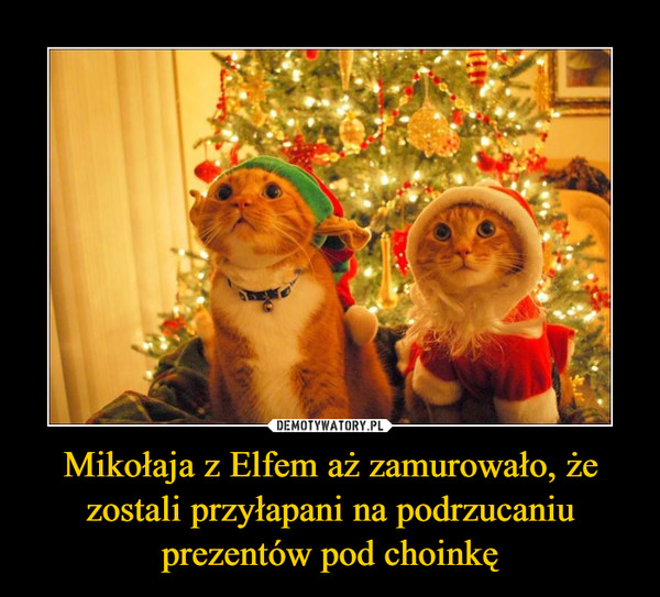 Mikołaja z Elfem aż zamurowało, że zostali przyłapani na podrzucaniu prezentów pod choinkę –  