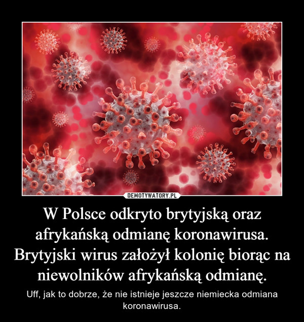 W Polsce odkryto brytyjską oraz afrykańską odmianę koronawirusa. Brytyjski wirus założył kolonię biorąc na niewolników afrykańską odmianę. – Uff, jak to dobrze, że nie istnieje jeszcze niemiecka odmiana koronawirusa. 