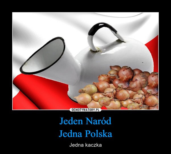 Jeden NaródJedna Polska – Jedna kaczka 