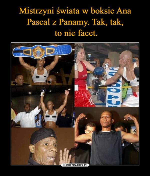 Mistrzyni świata w boksie Ana Pascal z Panamy. Tak, tak,
 to nie facet.