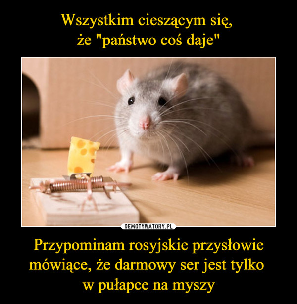 Przypominam rosyjskie przysłowie mówiące, że darmowy ser jest tylko w pułapce na myszy –  