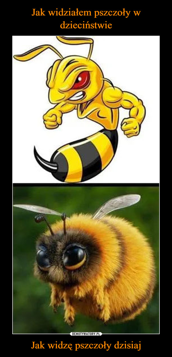 Jak widzę pszczoły dzisiaj –  