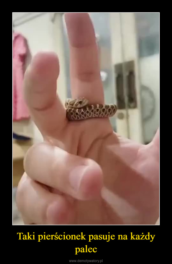 Taki pierścionek pasuje na każdy palec –  