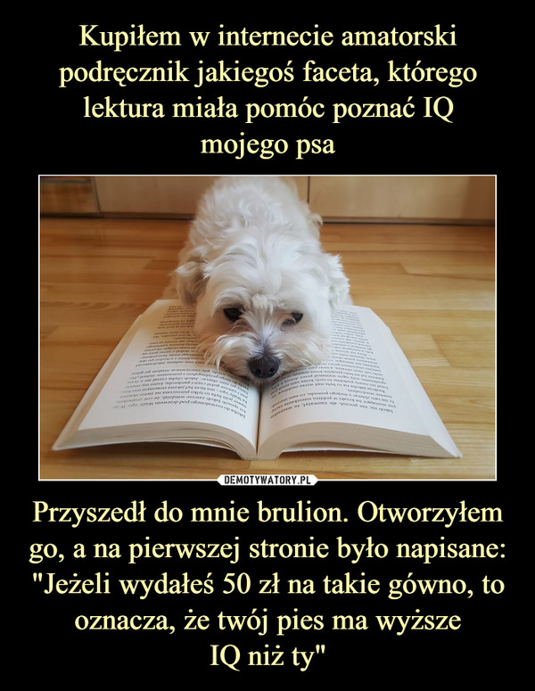 Kupiłem w internecie amatorski podręcznik jakiegoś faceta, którego lektura miała pomóc poznać IQ
mojego psa Przyszedł do mnie brulion. Otworzyłem go, a na pierwszej stronie było napisane: "Jeżeli wydałeś 50 zł na takie gówno, to oznacza, że twój pies ma wyższe
IQ niż ty"