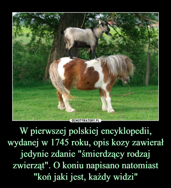 W pierwszej polskiej encyklopedii, wydanej w 1745 roku, opis kozy zawierał jedynie zdanie "śmierdzący rodzaj zwierząt". O koniu napisano natomiast "koń jaki jest, każdy widzi" –  