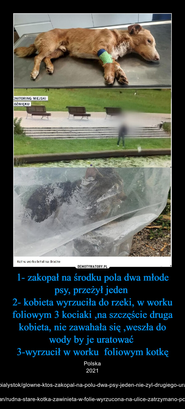 1- zakopał na środku pola dwa młode psy, przeżył jeden 2- kobieta wyrzuciła do rzeki, w worku foliowym 3 kociaki ,na szczęście druga kobieta, nie zawahała się ,weszła do wody by je uratować 3-wyrzucił w worku  foliowym kotkę – Polska 2021https://tvn24.pl/bialystok/glowne-ktos-zakopal-na-polu-dwa-psy-jeden-nie-zyl-drugiego-uratowali-5153455https://tvn24.pl/poznan/rudna-stare-kotka-zawinieta-w-folie-wyrzucona-na-ulice-zatrzymano-podejrzanego-5158525 