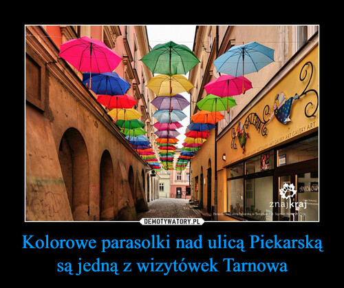 Kolorowe parasolki nad ulicą Piekarską są jedną z wizytówek Tarnowa