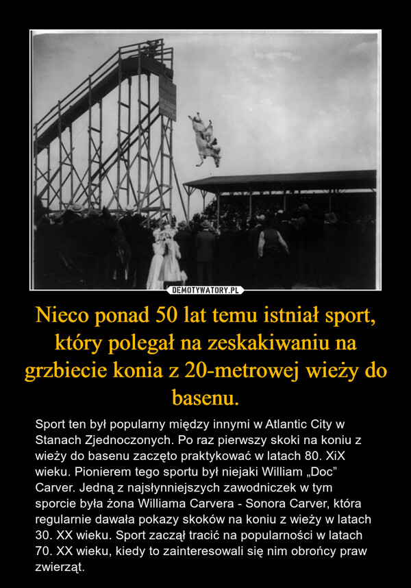 Nieco ponad 50 lat temu istniał sport, który polegał na zeskakiwaniu na grzbiecie konia z 20-metrowej wieży do basenu.