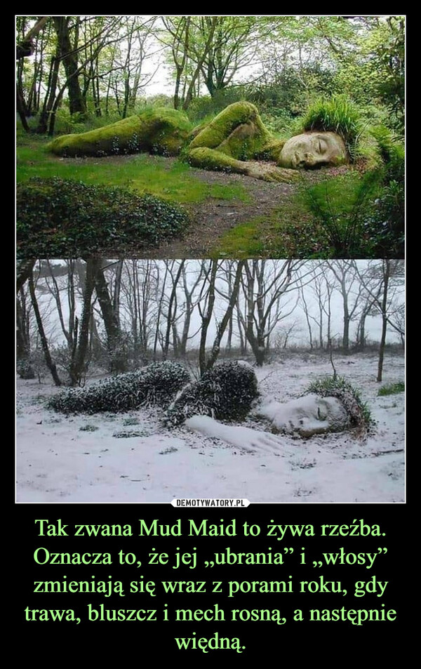 Tak zwana Mud Maid to żywa rzeźba. Oznacza to, że jej „ubrania” i „włosy” zmieniają się wraz z porami roku, gdy trawa, bluszcz i mech rosną, a następnie więdną. –  