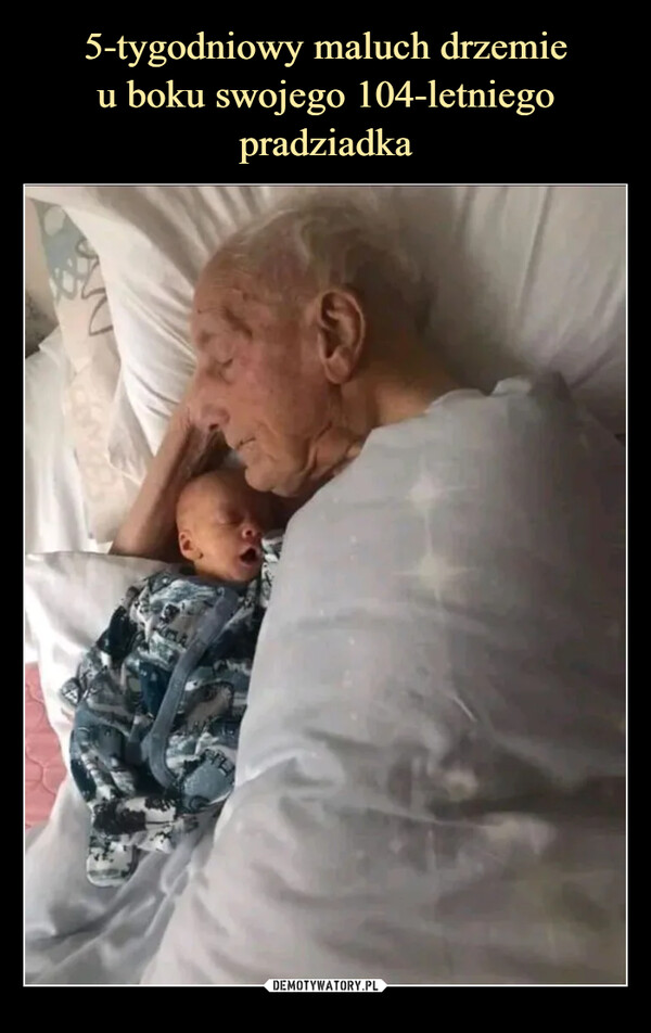 5-tygodniowy maluch drzemie
u boku swojego 104-letniego pradziadka