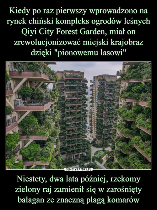 Kiedy po raz pierwszy wprowadzono na rynek chiński kompleks ogrodów leśnych Qiyi City Forest Garden, miał on zrewolucjonizować miejski krajobraz dzięki "pionowemu lasowi" Niestety, dwa lata później, rzekomy zielony raj zamienił się w zarośnięty bałagan ze znaczną plagą komarów