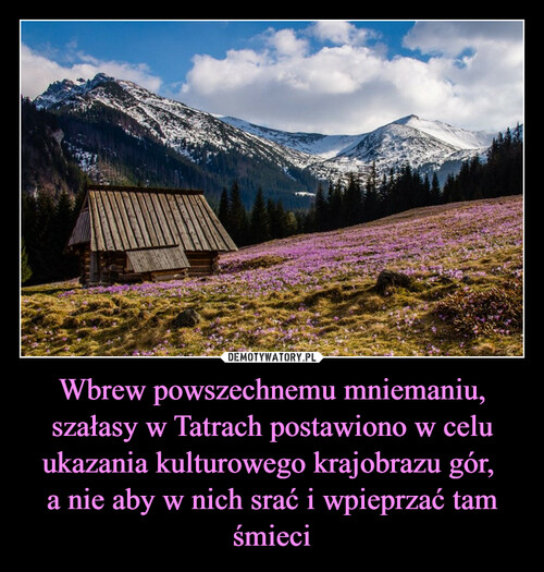 Wbrew powszechnemu mniemaniu, szałasy w Tatrach postawiono w celu ukazania kulturowego krajobrazu gór, 
a nie aby w nich srać i wpieprzać tam śmieci