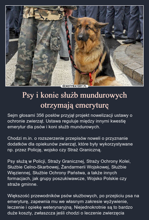 Psy i konie służb mundurowych otrzymają emeryturę – Sejm głosami 356 posłów przyjął projekt nowelizacji ustawy o ochronie zwierząt. Ustawa reguluje między innymi kwestię emerytur dla psów i koni służb mundurowych. Chodzi m.in. o rozszerzenie przepisów noweli o przyznanie dodatków dla opiekunów zwierząt, które były wykorzystywane np. przez Policję, wojsko czy Straż Graniczną.Psy służą w Policji, Straży Granicznej, Straży Ochrony Kolei, Służbie Celno-Skarbowej, Żandarmerii Wojskowej, Służbie Więziennej, Służbie Ochrony Państwa, a także innych formacjach, jak grupy poszukiwawcze, Wojsko Polskie czy straże gminne.Większość przewodników psów służbowych, po przejściu psa na emeryturę, zapewnia mu we własnym zakresie wyżywienie, leczenie i opiekę weterynaryjną. Niejednokrotnie są to bardzo duże koszty, zwłaszcza jeśli chodzi o leczenie zwierzęcia Sejm głosami 356 posłów przyjął projekt nowelizacji ustawy o ochronie zwierząt. Ustawa reguluje między innymi kwestię emerytur dla psów i koni służb mundurowych. Chodzi m.in. o rozszerzenie przepisów noweli o przyznanie dodatków dla opiekunów zwierząt, które były wykorzystywane np. przez Policję, wojsko czy Straż Graniczną.Psy służą w Policji, Straży Granicznej, Straży Ochrony Kolei, Służbie Celno-Skarbowej, Żandarmerii Wojskowej, Służbie Więziennej, Służbie Ochrony Państwa, a także innych formacjach, jak grupy poszukiwawcze, Wojsko Polskie czy straże gminne