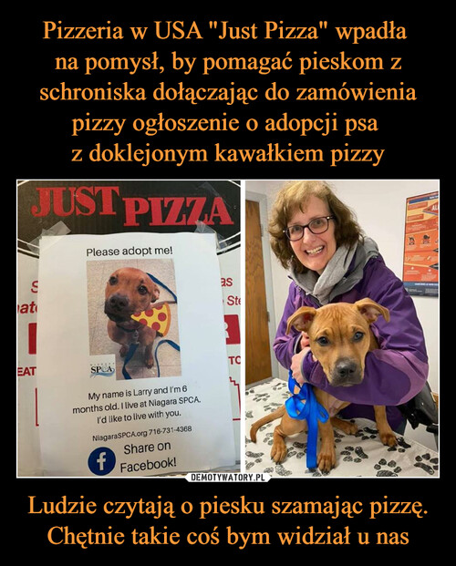 Pizzeria w USA "Just Pizza" wpadła 
na pomysł, by pomagać pieskom z schroniska dołączając do zamówienia pizzy ogłoszenie o adopcji psa 
z doklejonym kawałkiem pizzy Ludzie czytają o piesku szamając pizzę. Chętnie takie coś bym widział u nas