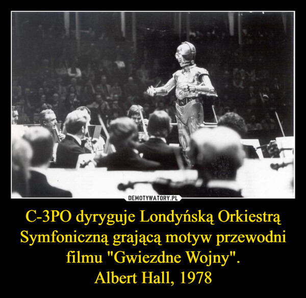 C-3PO dyryguje Londyńską Orkiestrą Symfoniczną grającą motyw przewodni filmu "Gwiezdne Wojny".Albert Hall, 1978 –  