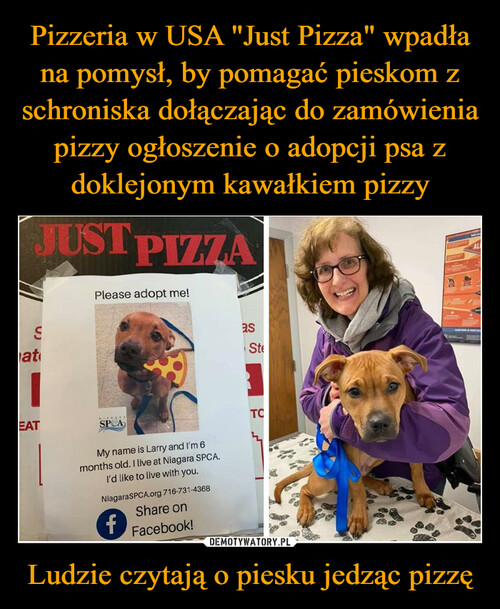 Pizzeria w USA "Just Pizza" wpadła na pomysł, by pomagać pieskom z schroniska dołączając do zamówienia pizzy ogłoszenie o adopcji psa z doklejonym kawałkiem pizzy Ludzie czytają o piesku jedząc pizzę