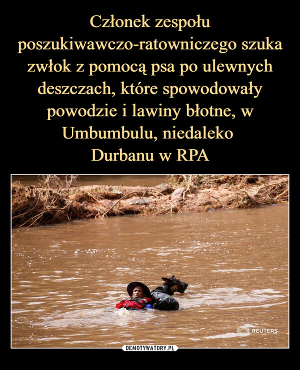 Członek zespołu poszukiwawczo-ratowniczego szuka zwłok z pomocą psa po ulewnych deszczach, które spowodowały powodzie i lawiny błotne, w Umbumbulu, niedaleko 
Durbanu w RPA