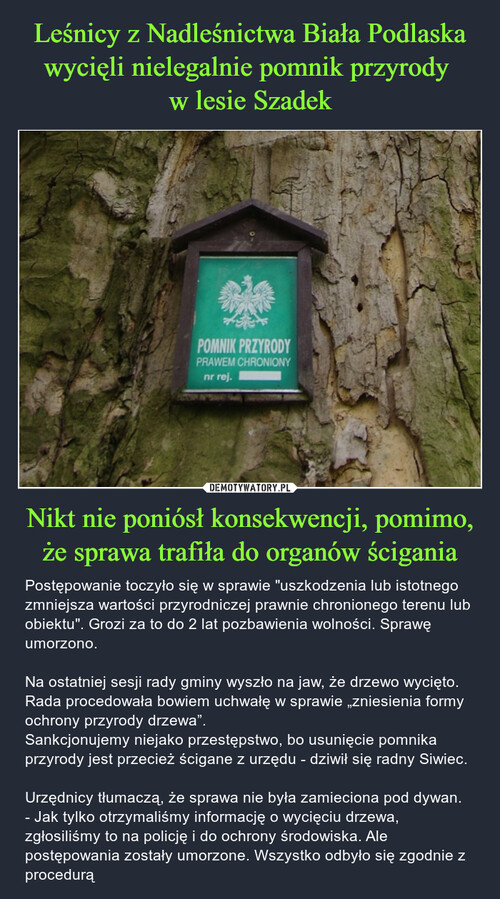 Leśnicy z Nadleśnictwa Biała Podlaska wycięli nielegalnie pomnik przyrody 
w lesie Szadek Nikt nie poniósł konsekwencji, pomimo, że sprawa trafiła do organów ścigania