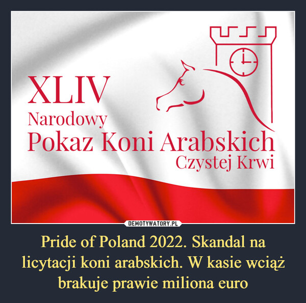 Pride of Poland 2022. Skandal na licytacji koni arabskich. W kasie wciąż brakuje prawie miliona euro –  Narodowy pokaz koni arabskich