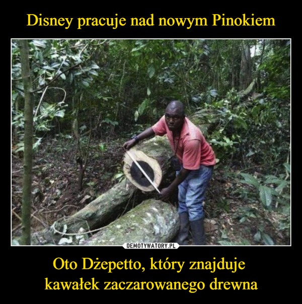 Disney pracuje nad nowym Pinokiem Oto Dżepetto, który znajduje 
kawałek zaczarowanego drewna