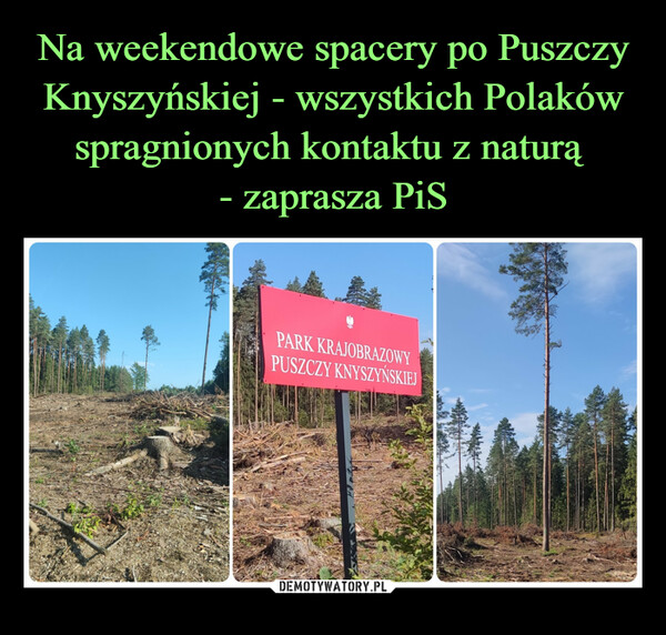 Na weekendowe spacery po Puszczy Knyszyńskiej - wszystkich Polaków spragnionych kontaktu z naturą 
- zaprasza PiS