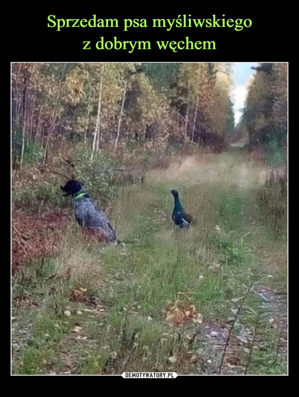  –  