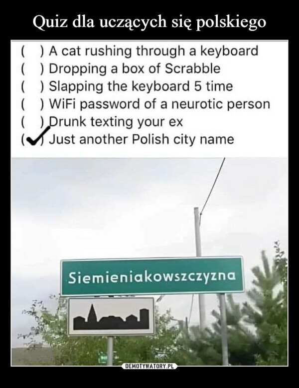  –  () A cat rushing through a keyboard) Dropping a box of Scrabble(() Slapping the keyboard 5 time( ) WiFi password of a neurotic person( ) Drunk texting your ex(Just another Polish city nameSiemieniakowszczyzna
