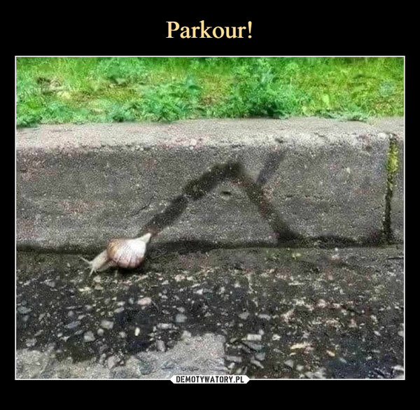  –  Parkour