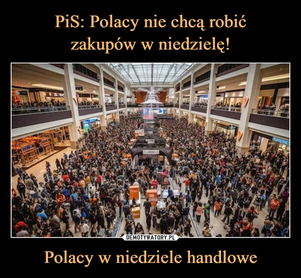 PiS: Polacy nie chcą robić
zakupów w niedzielę! Polacy w niedziele handlowe