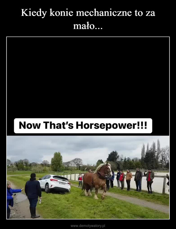  –  Now That's Horsepower!!!
