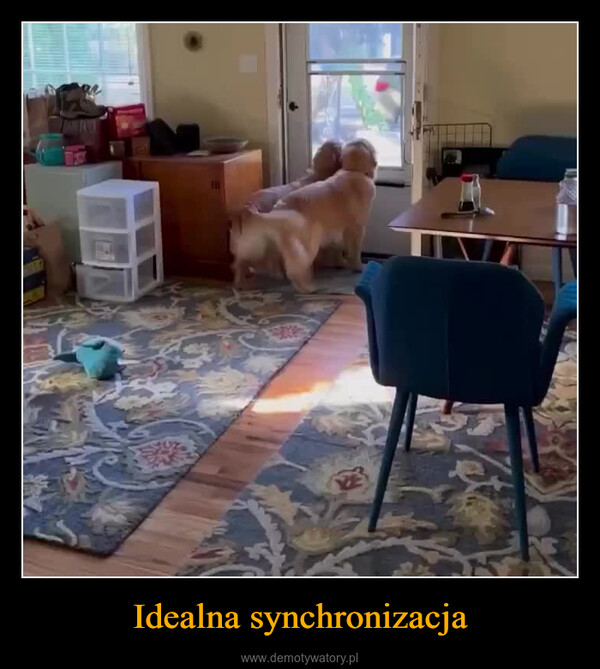 Idealna synchronizacja –  