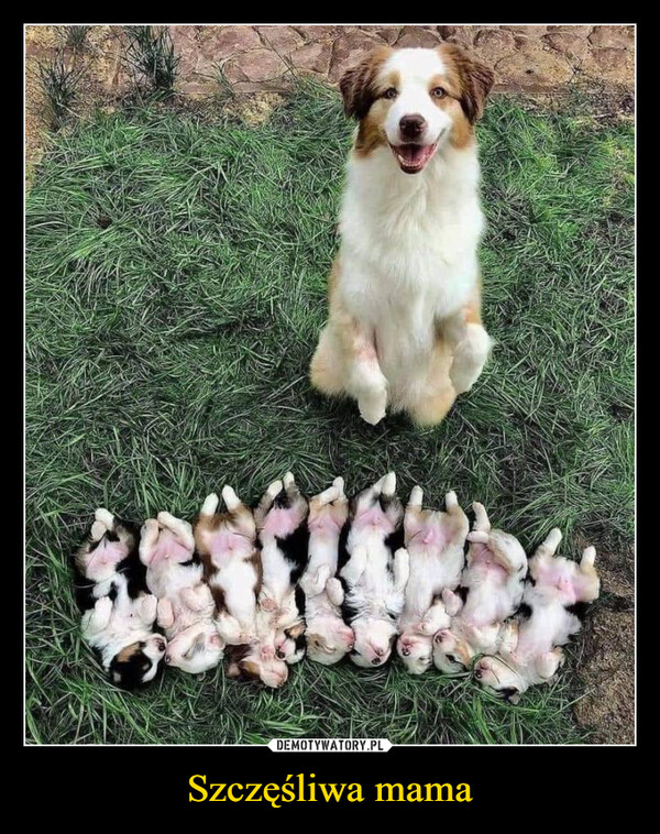 Szczęśliwa mama –  