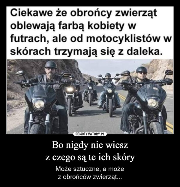 Bo nigdy nie wieszz czego są te ich skóry – Może sztuczne, a możez obrońców zwierząt... Ciekawe że obrońcy zwierzątoblewają farbą kobiety wfutrach, ale od motocyklistów wskórach trzymają się z daleka.